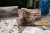 Drewniany dwupłatowiec z napędem gumowym jako ekologiczne puzzle 3D